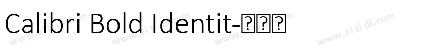 Calibri Bold Identit字体转换